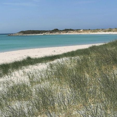 Guest House Dans Jardin Exotique Proche D'Une Voie Verte Morlaix Eksteriør bilde