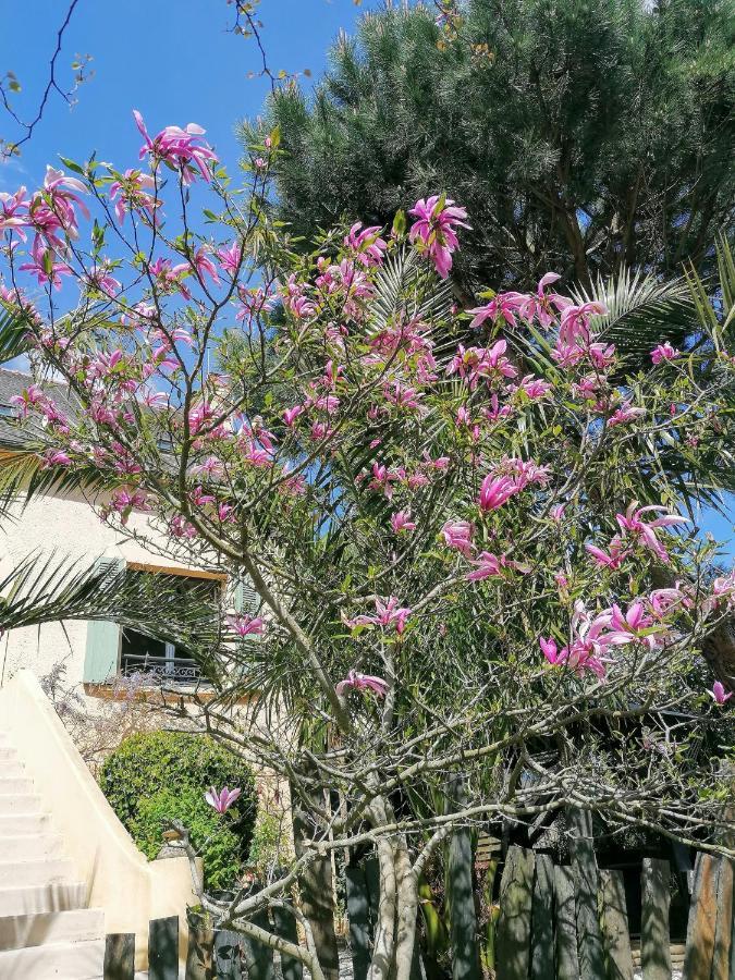 Guest House Dans Jardin Exotique Proche D'Une Voie Verte Morlaix Eksteriør bilde